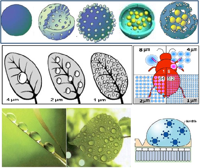 广源益农研发团队成功揭榜北京市科技项目
